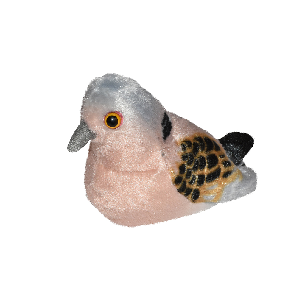 PELUCHE DE TÓRTOLA/TÓRTORA CON CANTO 1