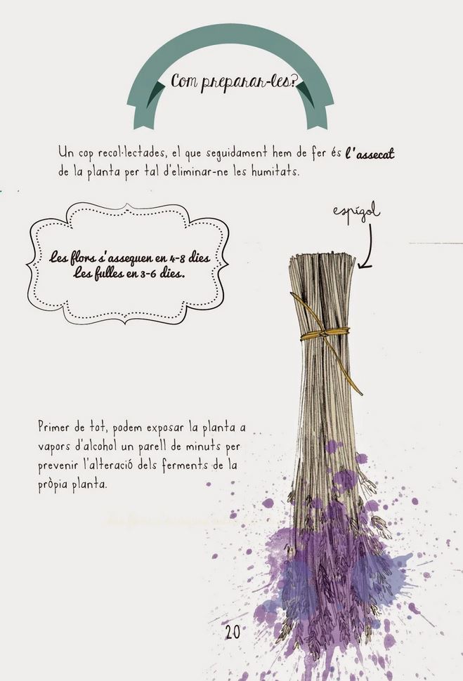 EL KIT DE REMEIERES INDISPENSABLE PER VIATJAR 2