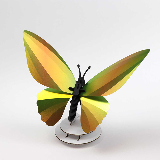 ROMPECABEZAS 3D ENTOMOLOGY PUZZLE - BIRDWING BUTTERFLY