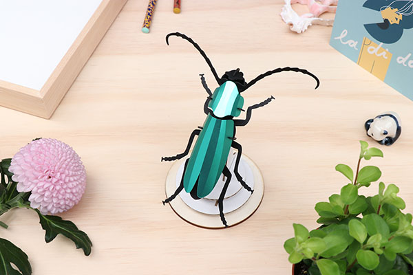 ROMPECABEZAS 3D ENTOMOLOGY PUZZLE - ROSALIA BEETLE