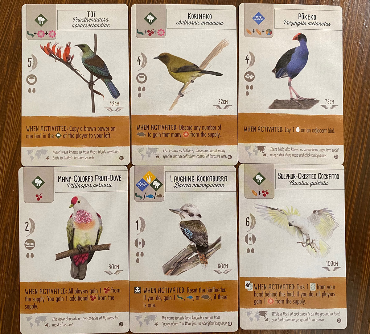 JUEGO WINGSPAN: EXPANSIÓN OCEANÍA 6