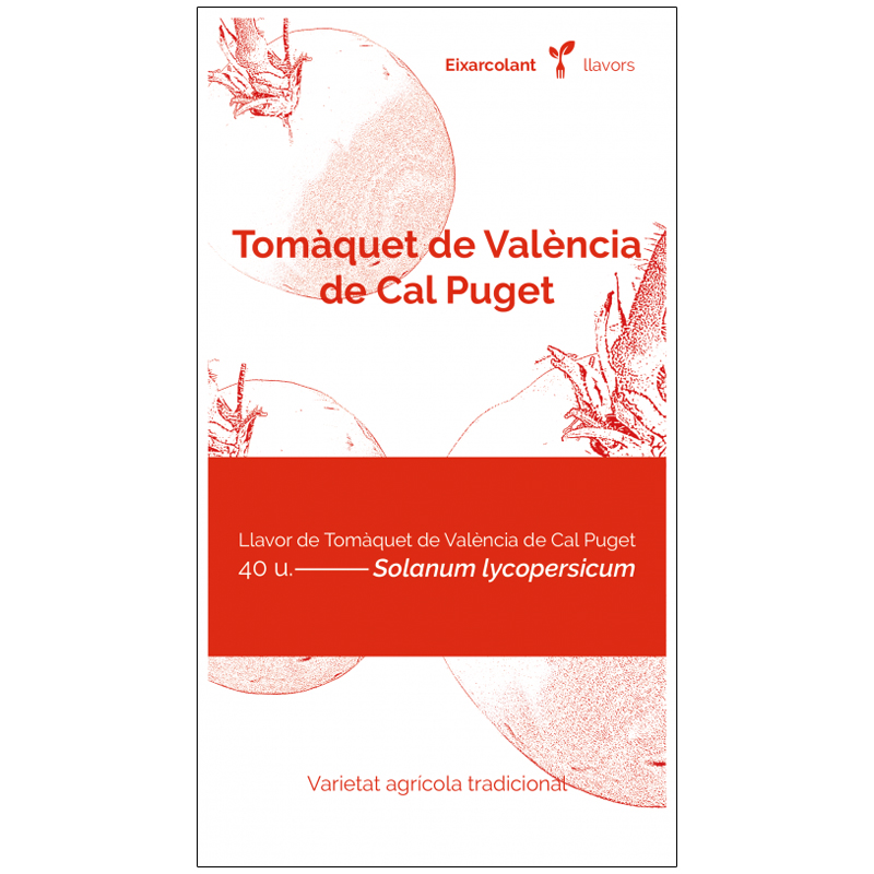 COL·LECTIU EIXARCOLANT. TOMÀQUET DE VALÈNCIA DE CAL PUGET (SOLANUM LYCOPERSICUM). LLAVORS DE VARIETATS AGRÍCOLES TRADICIONALS 1