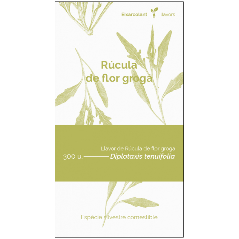 COL·LECTIU EIXARCOLANT. RÚCULA DE FLOR GROGA (DIPLOTAXIS TENUIFOLIA). LLAVORS DE VARIETATS AGRÍCOLES TRADICIONALS 1