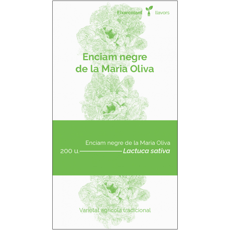 COL·LECTIU EIXARCOLANT. ENCIAM NEGRE DE LA MARIA OLIVA (LACTUCA SATIVA). LLAVORS DE VARIETATS AGRÍCOLES TRADICIONALS 1