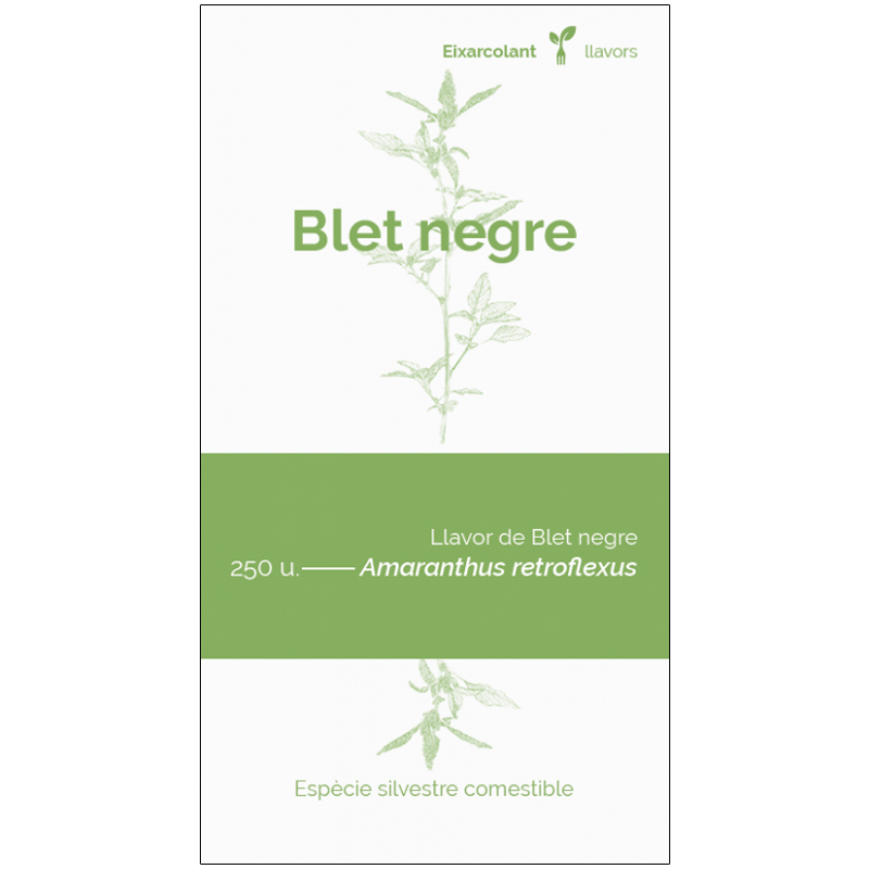 COL·LECTIU EIXARCOLANT. BLET NEGRE (AMARANTHUS RETROFLEXUS). LLAVORS DE VARIETATS AGRÍCOLES TRADICIONALS 1