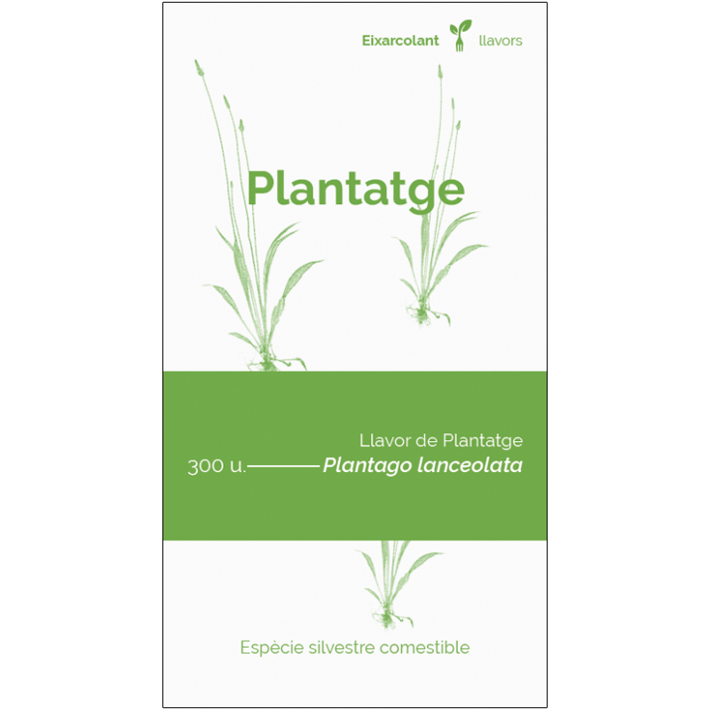 COL·LECTIU EIXARCOLANT. PLANTATGE (PLANTAGO LANCEOLATA). LLAVORS DE VARIETATS AGRÍCOLES TRADICIONALS 1