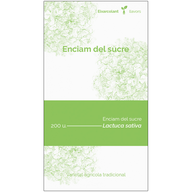 COL·LECTIU EIXARCOLANT. ENCIAM DEL SUCRE (LACTUCA SATIVA). LLAVORS DE VARIETATS AGRÍCOLES TRADICIONALS 1
