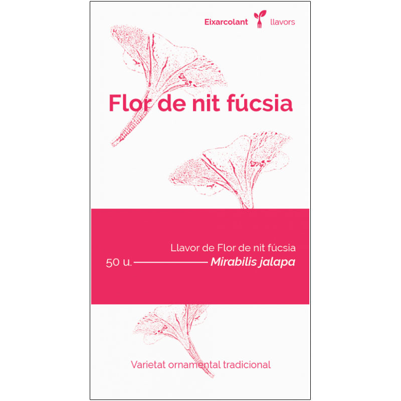 COL·LECTIU EIXARCOLANT. FLOR DE NIT FÚCSIA (MIRABILIS JALAPA). LLAVORS DE VARIETATS AGRÍCOLES TRADICIONALS 1
