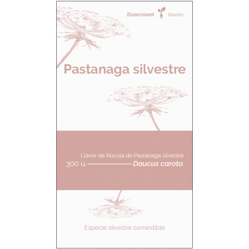 COL·LECTIU EIXARCOLANT. PASTANAGA SILVESTRE (DAUCUS CAROTA). LLAVORS DE VARIETATS AGRÍCOLES TRADICIONALS 1