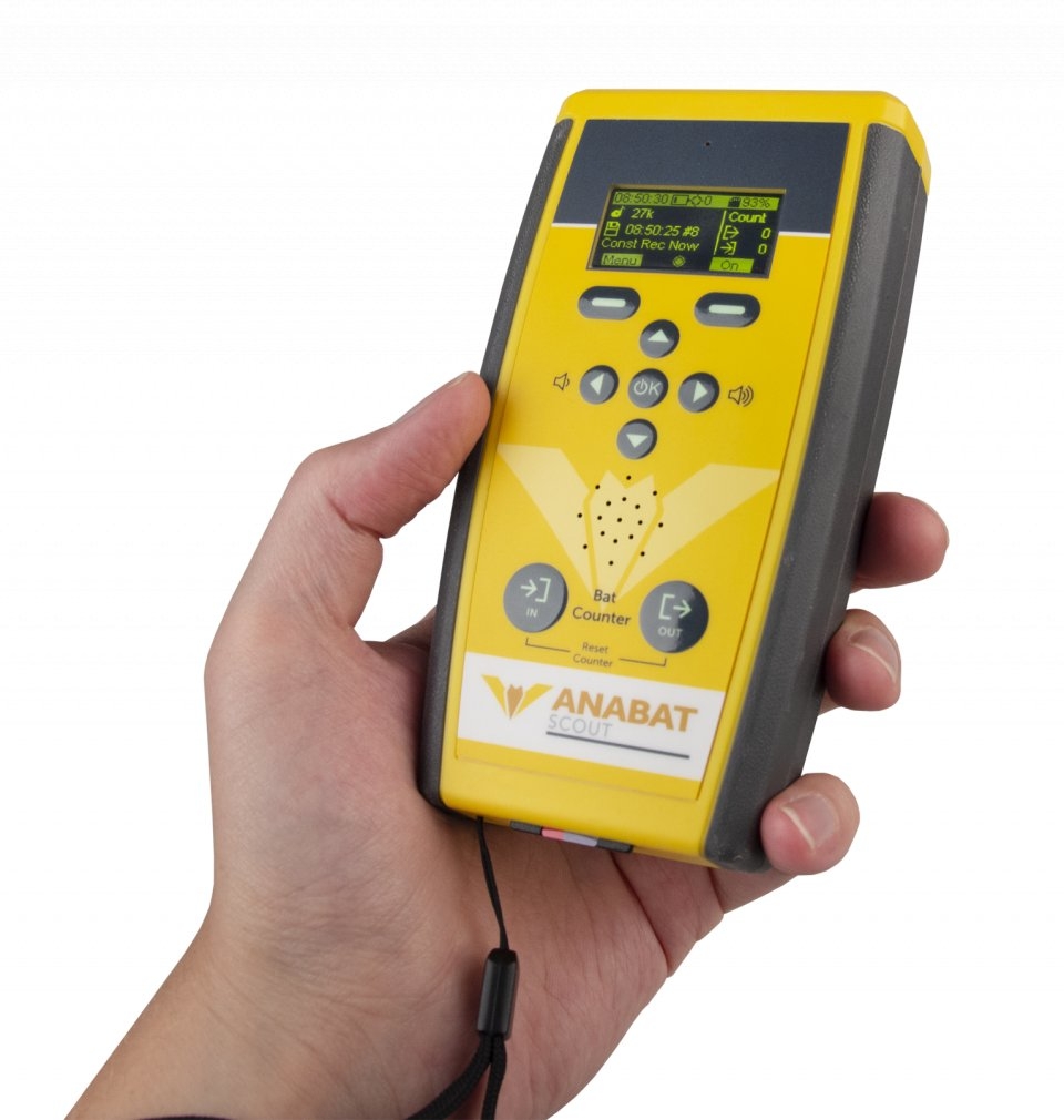 DETECTOR DE ULTRASONIDOS ANABAT SCOUT 3