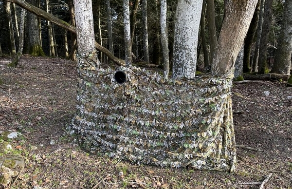 TRAGOPAN LÁMINA 3D DE CAMUFLAJE 1,5x3,5 m  1