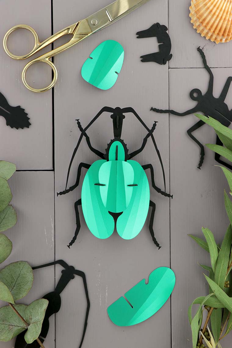 ROMPECABEZAS 3D ENTOMOLOGY PUZZLE - VIOLIN BEETLE