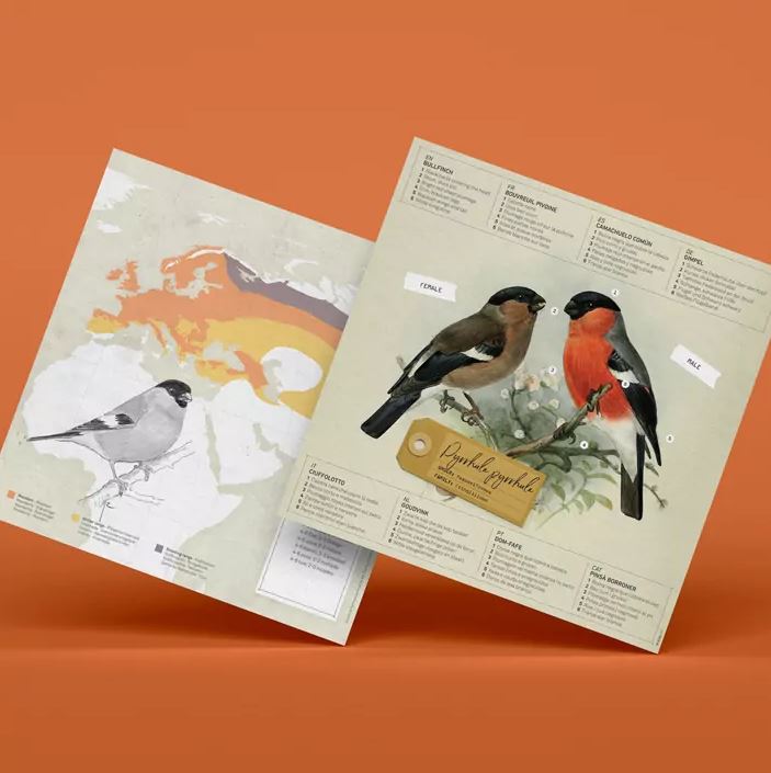 PLEGOPAPER- FIGURA RECORTABLE DE CAMACHUELO COMÚN (PINSÀ BORRONER) 2