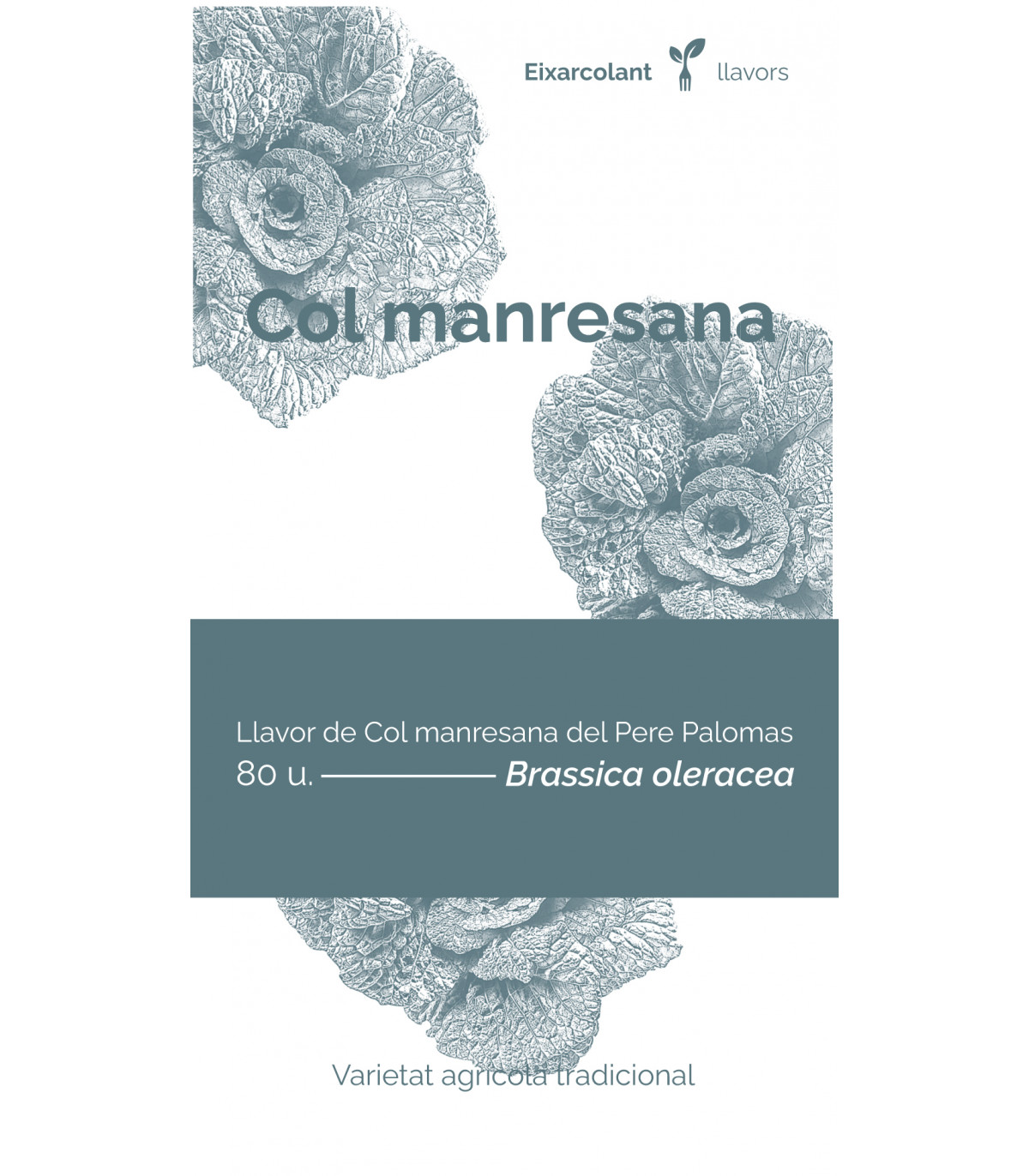 COL·LECTIU EIXARCOLANT. COL MANRESANA (BRASSICA OLERACEA). LLAVORS DE VARIETATS AGRÍCOLES TRADICIONALS 1