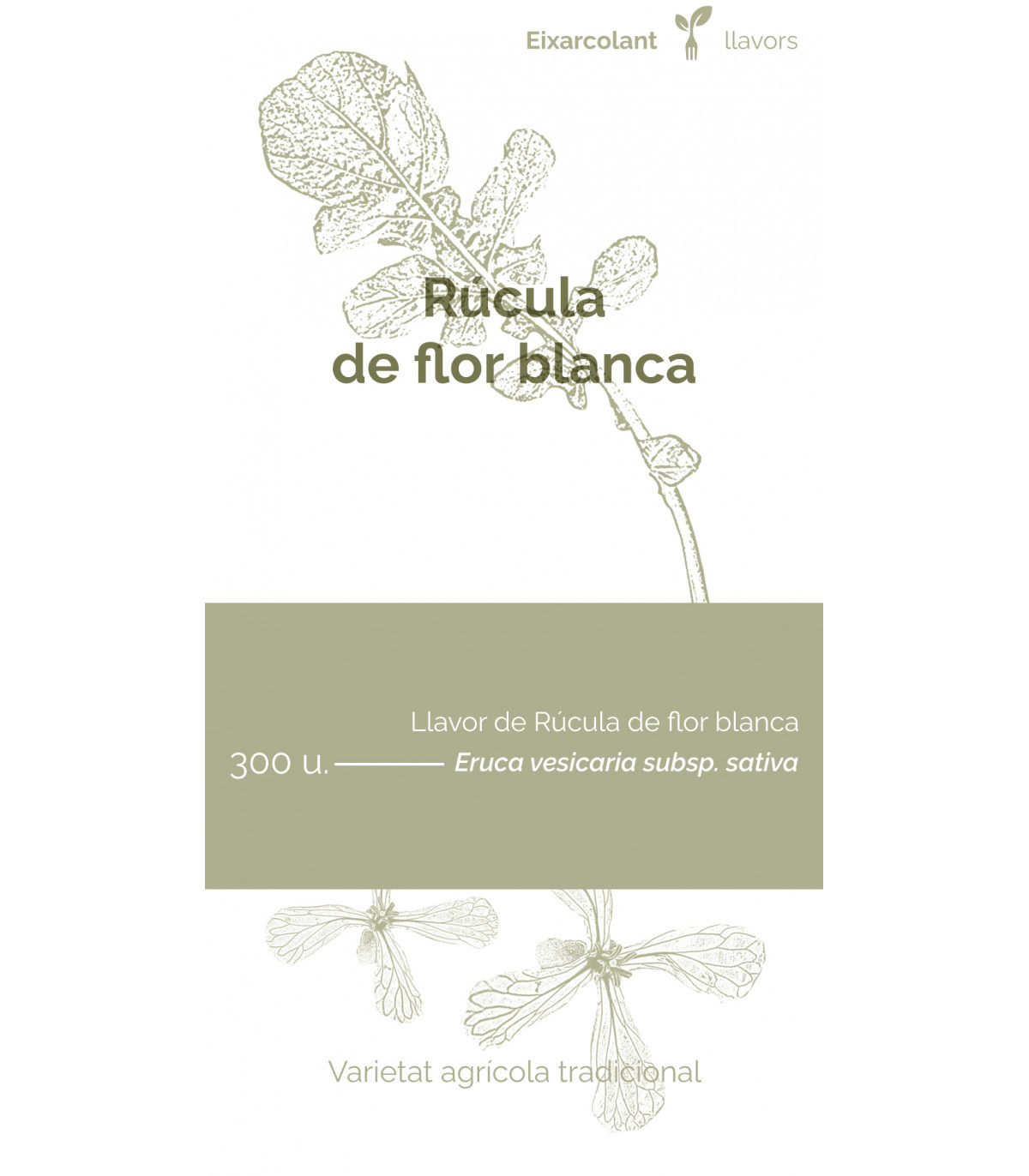 COL·LECTIU EIXARCOLANT. RÚCULA DE FLOR BLANCA (ERUCA VESICARIA SUBSP. SATIVA). LLAVORS DE VARIETATS AGRÍCOLES TRADICIONALS 1