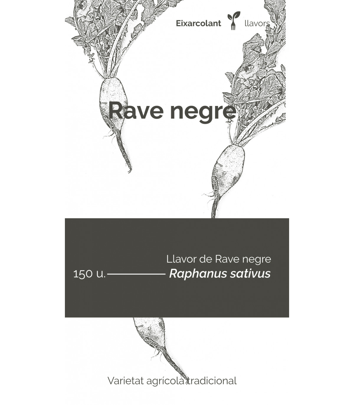 COL·LECTIU EIXARCOLANT. RAVE NEGRE (RAPHANUS SATIVUS). LLAVORS DE VARIETATS AGRÍCOLES TRADICIONALS 1