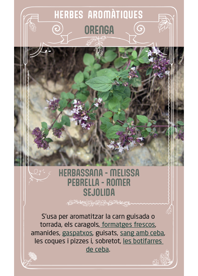 EL JOC DE LES PLANTES 2