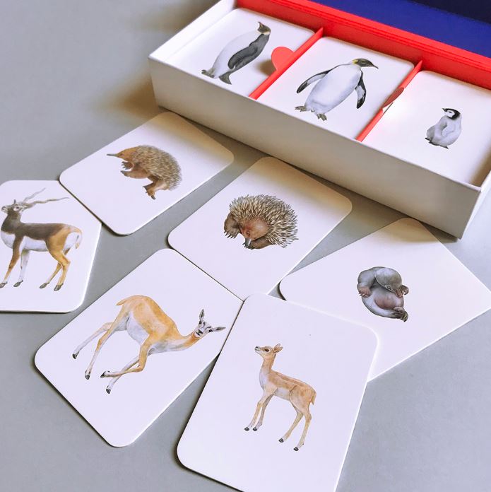 FAMILIAS ANIMALES. JUEGO DE MEMORIA DE TRES 2