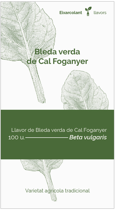 COL·LECTIU EIXARCOLANT. BLEDA VERDA DE CAL FOGANYER (BETA VULGARIS). LLAVORS DE VARIETATS AGRÍCOLES TRADICIONALS 1