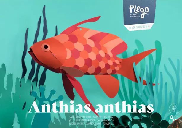 PLEGOPAPER- FIGURA RECORTABLE ANTHIAS ANTHIAS (TRES COLAS - FORCADELLA)