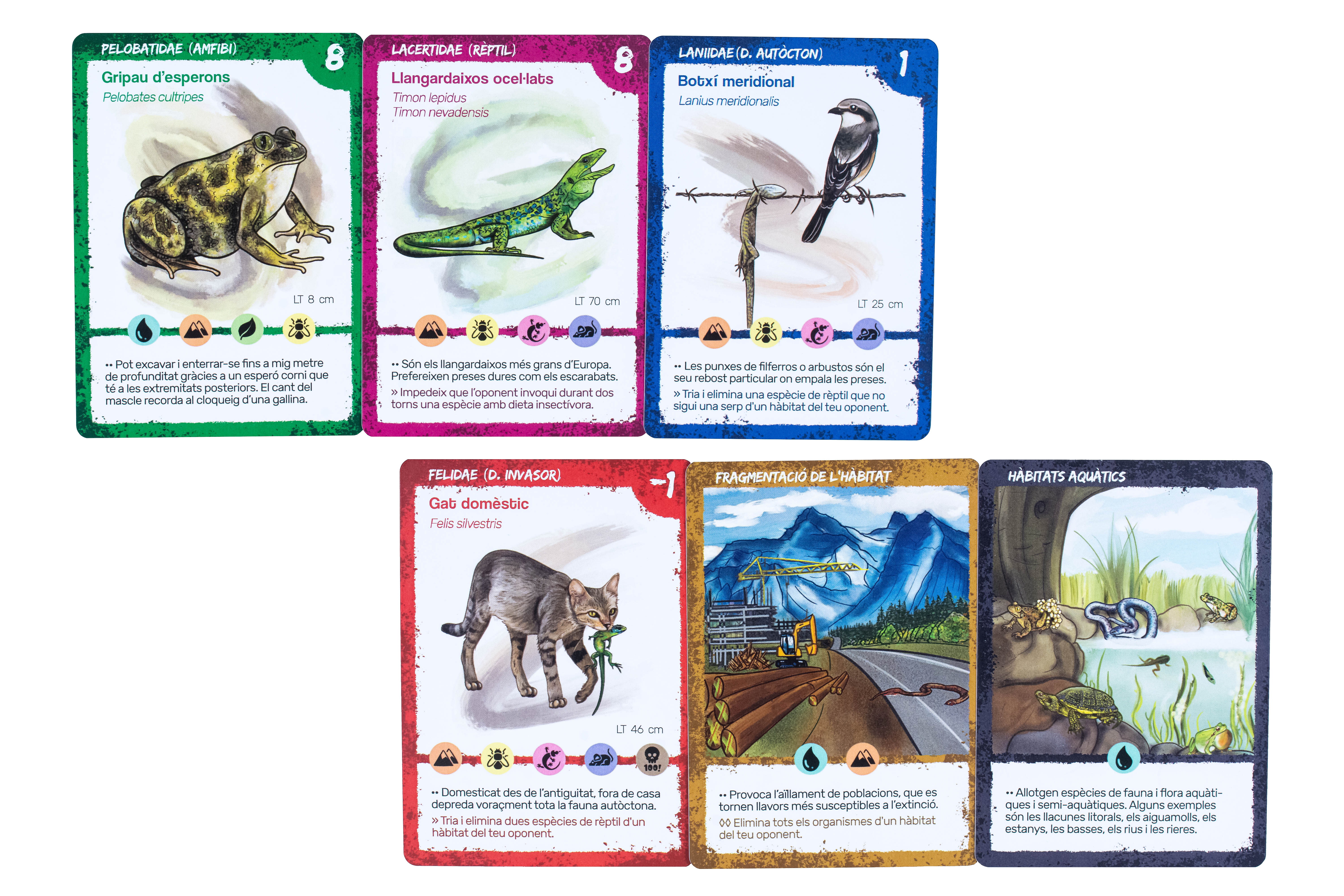 JOC DE CARTES HERPETON 2