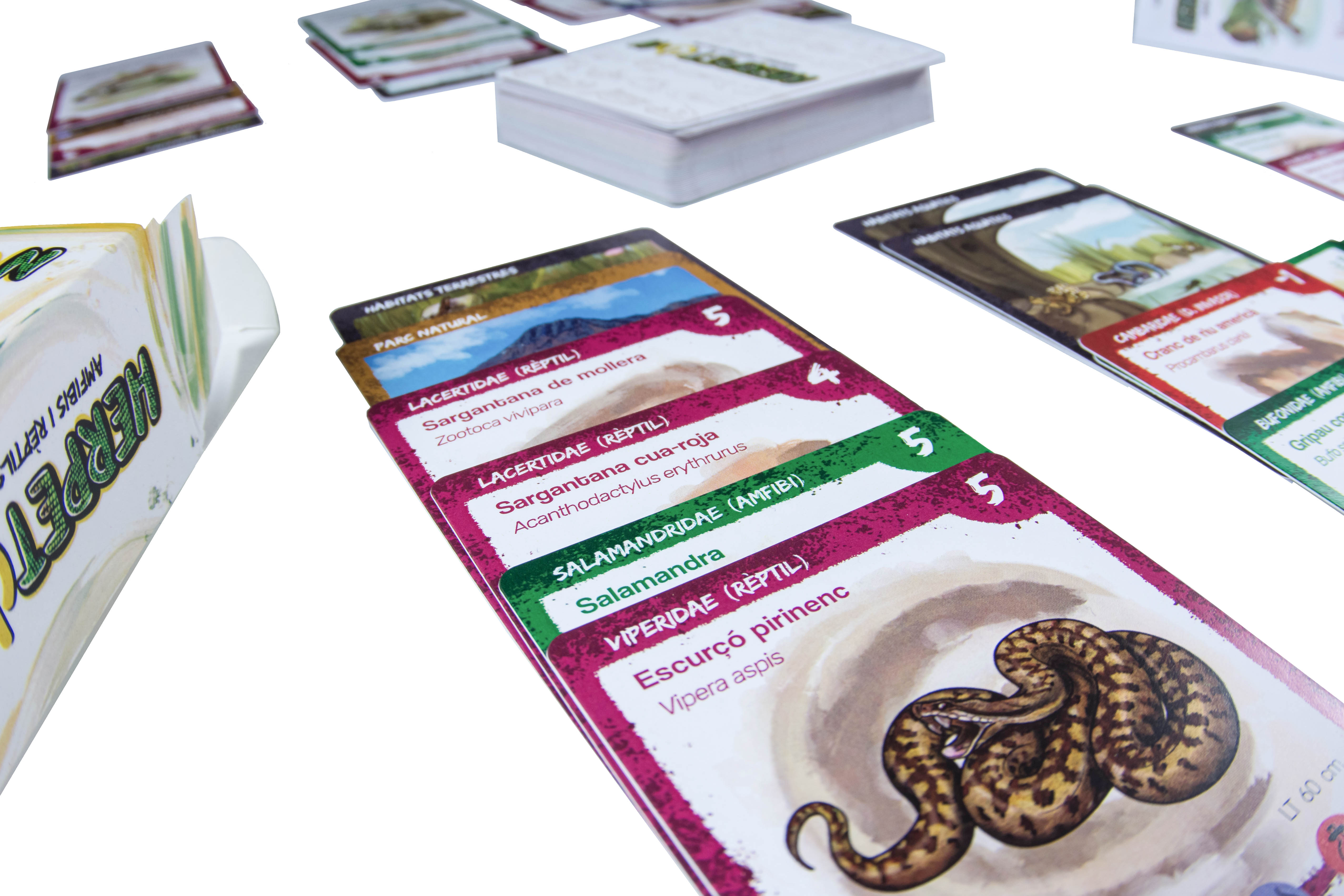 JOC DE CARTES HERPETON 4