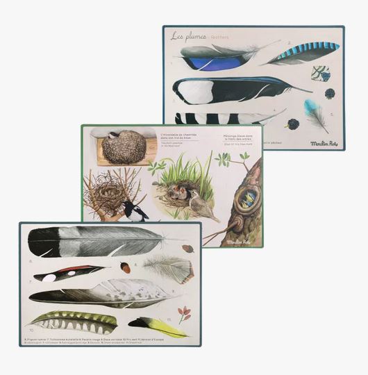COFFRET DÉCOUVERTE DES OISEAUX (CAIXA PER DESCOBRIR ELS OCELLS/ CAJA PARA DESCUBRIR LAS AVES) 3