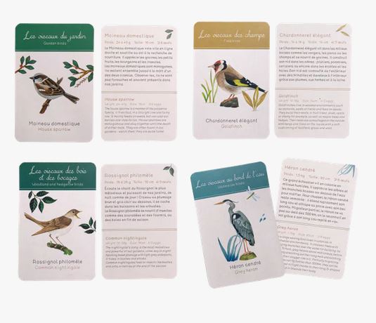 COFFRET DÉCOUVERTE DES OISEAUX (CAIXA PER DESCOBRIR ELS OCELLS/ CAJA PARA DESCUBRIR LAS AVES) 4