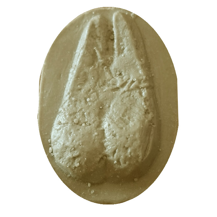 MOLDE HUELLA CAPRA PYRENAICA (CABRA MONTÉS, HERC, HIRCO, BASKAUNTZ PIRINIARRA) 1