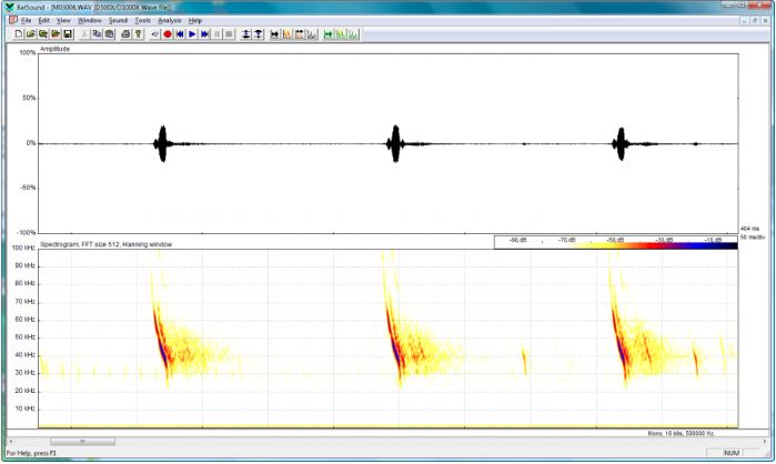 PROGRAMA INFORMÁTICO DE ANÁLISIS DE LOS GRITOS DE MURCIÉLAGOS PETTERSSON BATSOUND REAL-TIME SPECTROGRAM ANALYSIS, VERSION 4.7 - LICENCIA PARA 5 USUARI 1