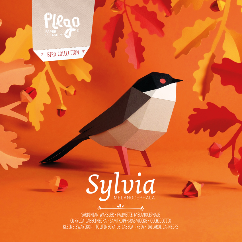 PLEGOPAPER- CURRUCA CABECINEGRA  (TALLAROL CAPNEGRE)