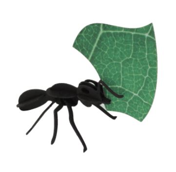 ROMPECABEZAS 3D ENTOMOLOGY PUZZLE - PAPER LEAFCUTTER ANTS