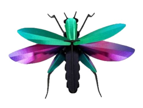 ROMPECABEZAS 3D ENTOMOLOGY PUZZLE - GRASSHOPPER