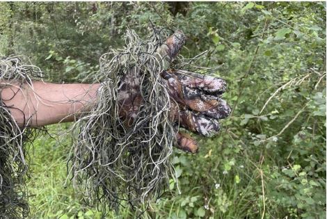 TRAGOPAN GUANTES TIPO GHILLIE 1