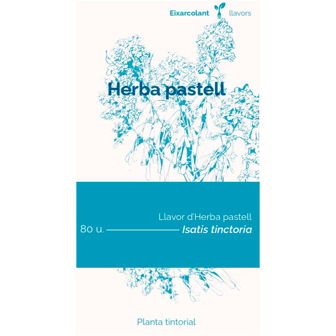 COL·LECTIU EIXARCOLANT. HERBA PASTELL (ISATIS TINCTORIA). LLAVORS DE VARIETATS AGRÍCOLES TRADICIONALS 1