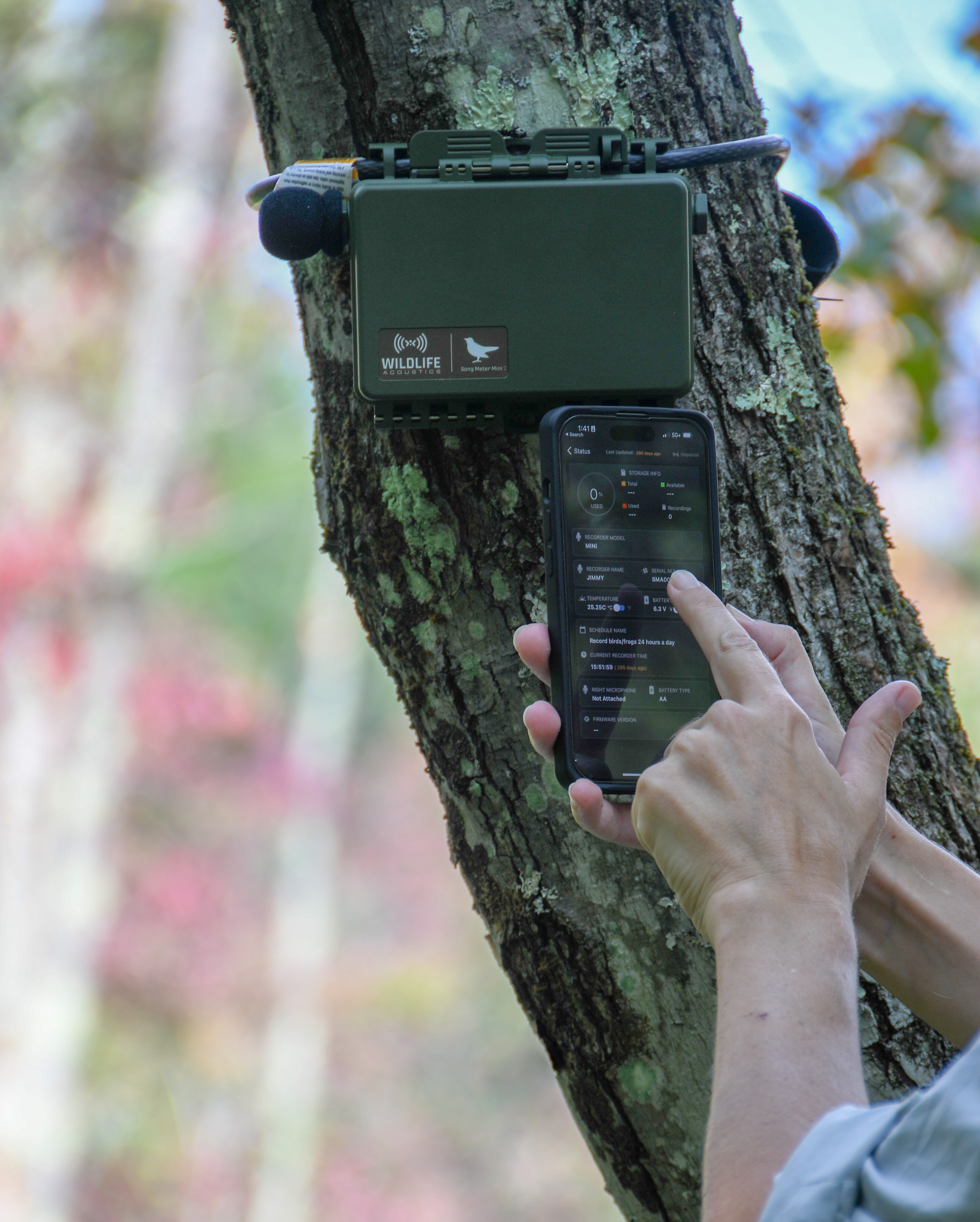 GRABADORA PASIVA DE SONIDOS AUDIBLES SONG METER MINI 2 PARA PILAS DE LITIO DE WILDLIFE ACOUSTICS (SM MINI 2 L) 2