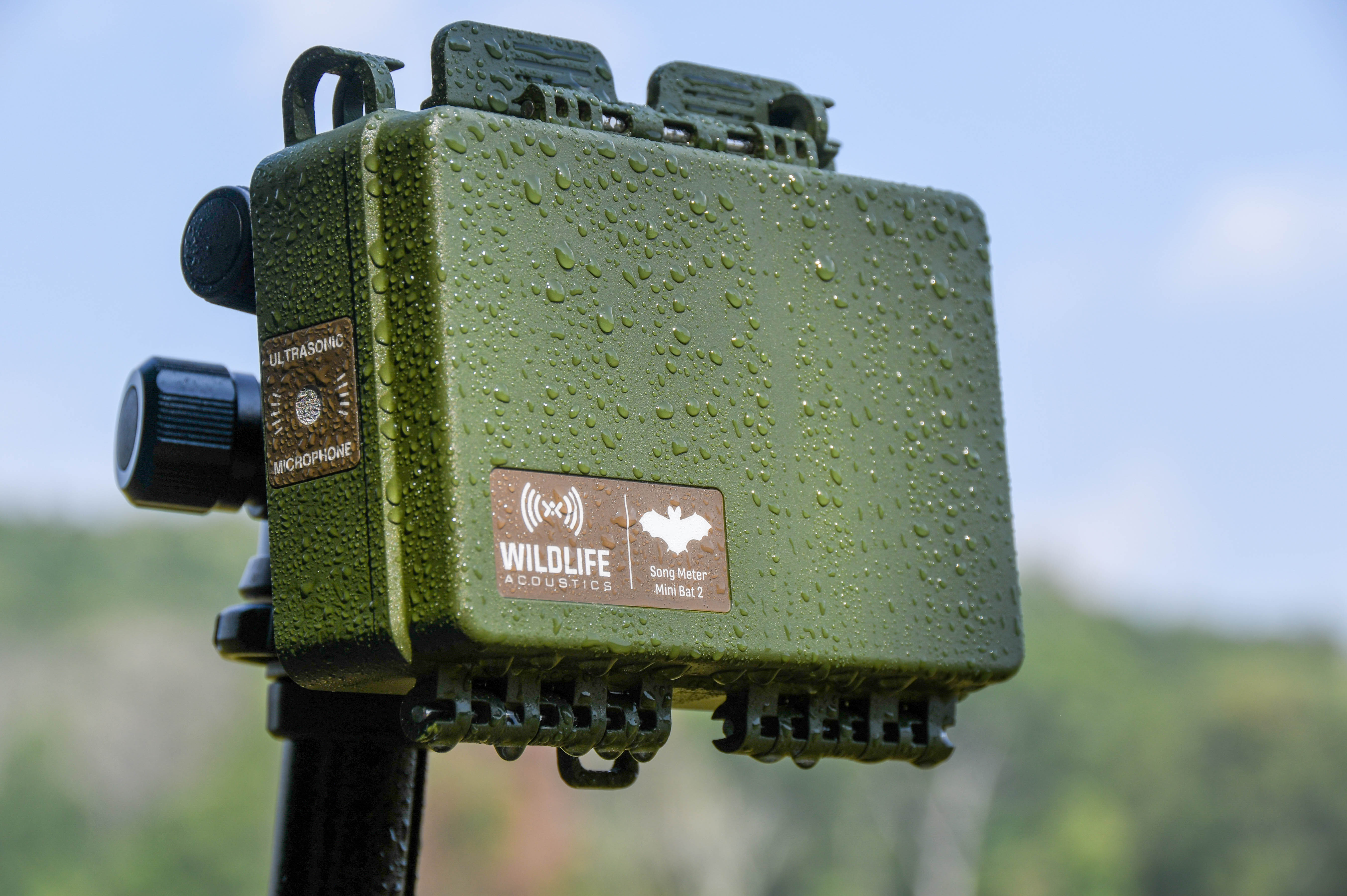GRABADORA PASIVA DE ULTRASONIDOS SONG METER MINI BAT 2 PARA PILAS RECARGABLES DE LITIO DE WILDLIFE ACOUSTICS (SM MINI BAT 2 L) 2