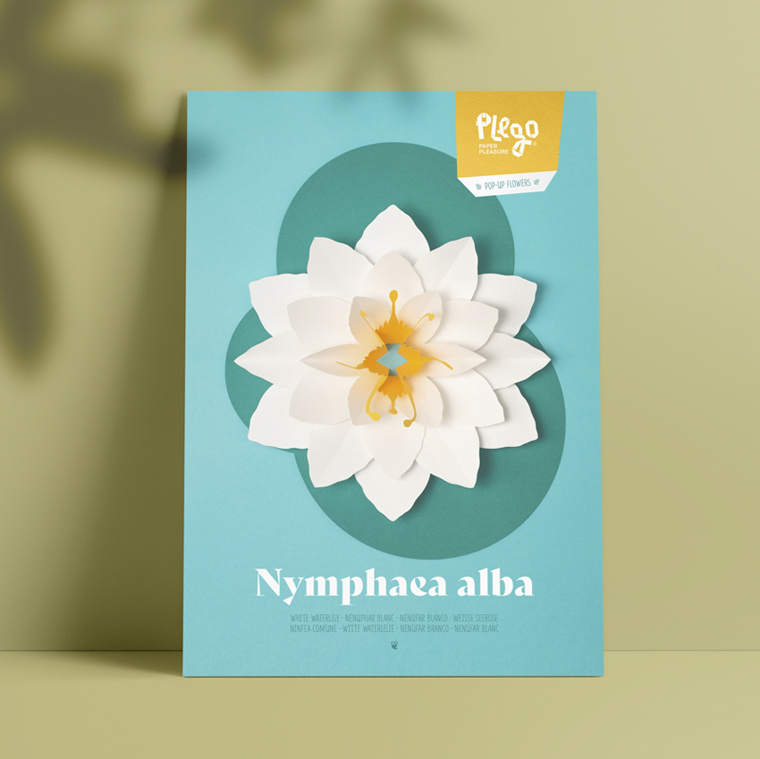 PLEGO POP UP NYMPHAEA ALBA (NENÚFAR)) 1