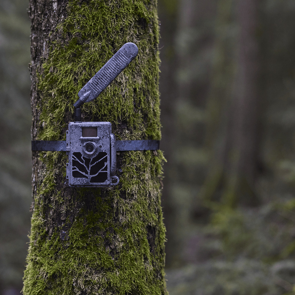 CÁMARA DE TRAMPEO ZEISS SECACAM 5 12 MP CON LED NEGROS DE LUZ INFRARROJA INVISIBLE Y TRANSMISIÓN DE FOTO Y VÍDEO VÍA 4G 7