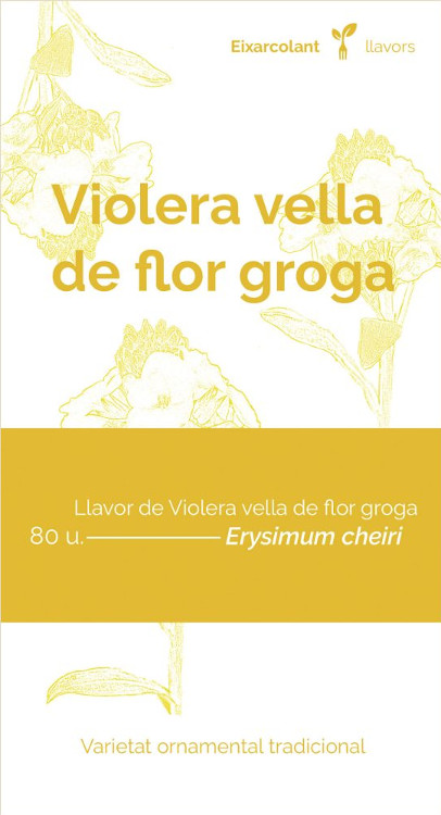 COL·LECTIU EIXARCOLANT. VIOLERA VELLA DE FLOR GROGA (ERYSIMUM CHEIRI). LLAVORS DE VARIETATS AGRÍCOLES TRADICIONALS 1