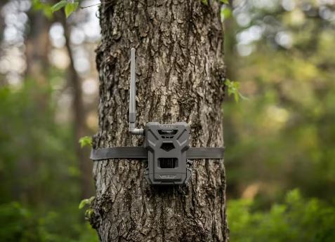 CÁMARA DE TRAMPEO SPYPOINT FLEX M 28 MP CON LED NEGROS DE LUZ INFRARROJA INVISIBLE Y TRANSMISIÓN DE FOTO Y VÍDEO VÍA 4G 4
