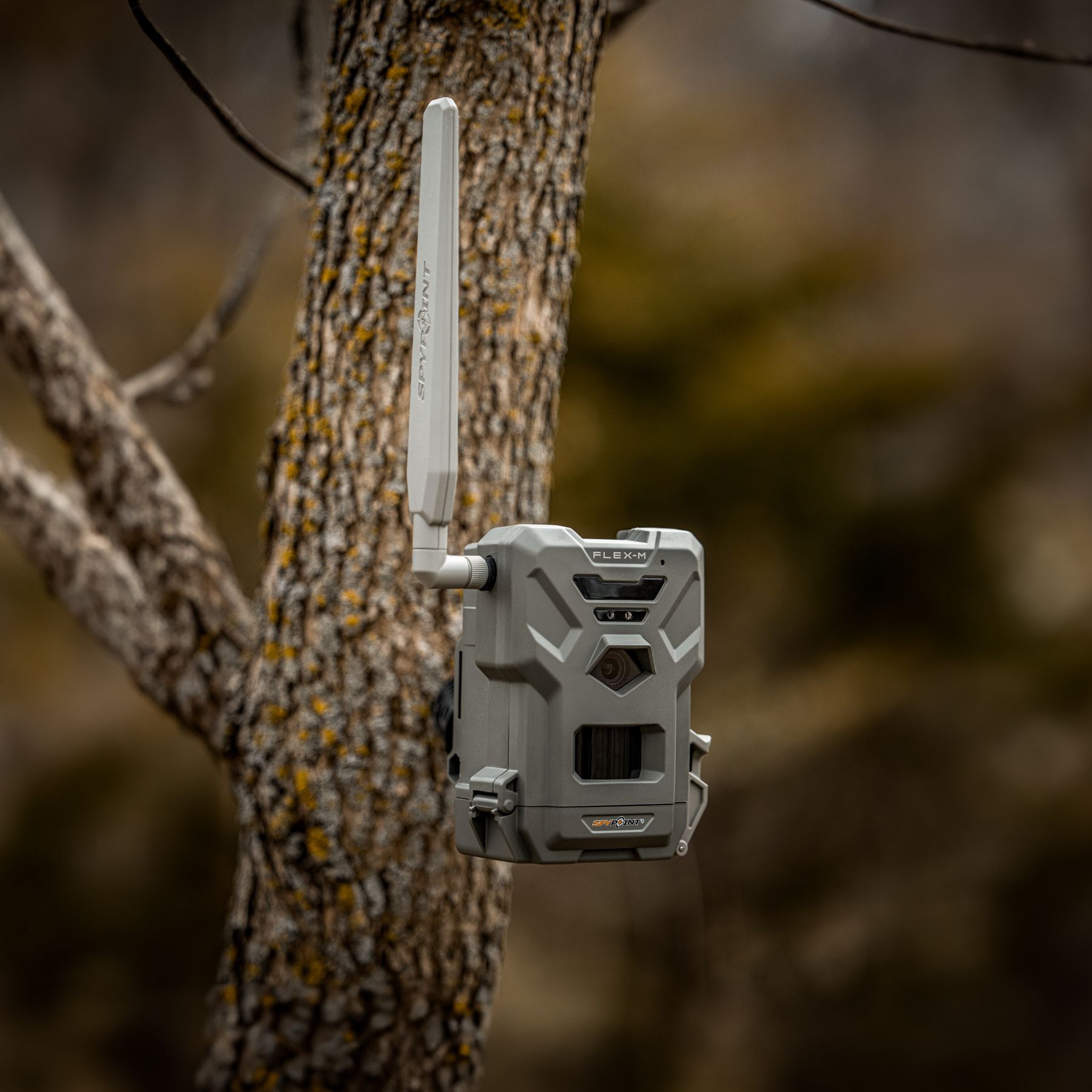 TWIN PACK CÁMARA DE TRAMPEO SPYPOINT FLEX M 28 MP CON LED NEGROS DE LUZ INFRARROJA INVISIBLE Y TRANSMISIÓN DE FOTO Y VÍDEO VÍA 4G 5