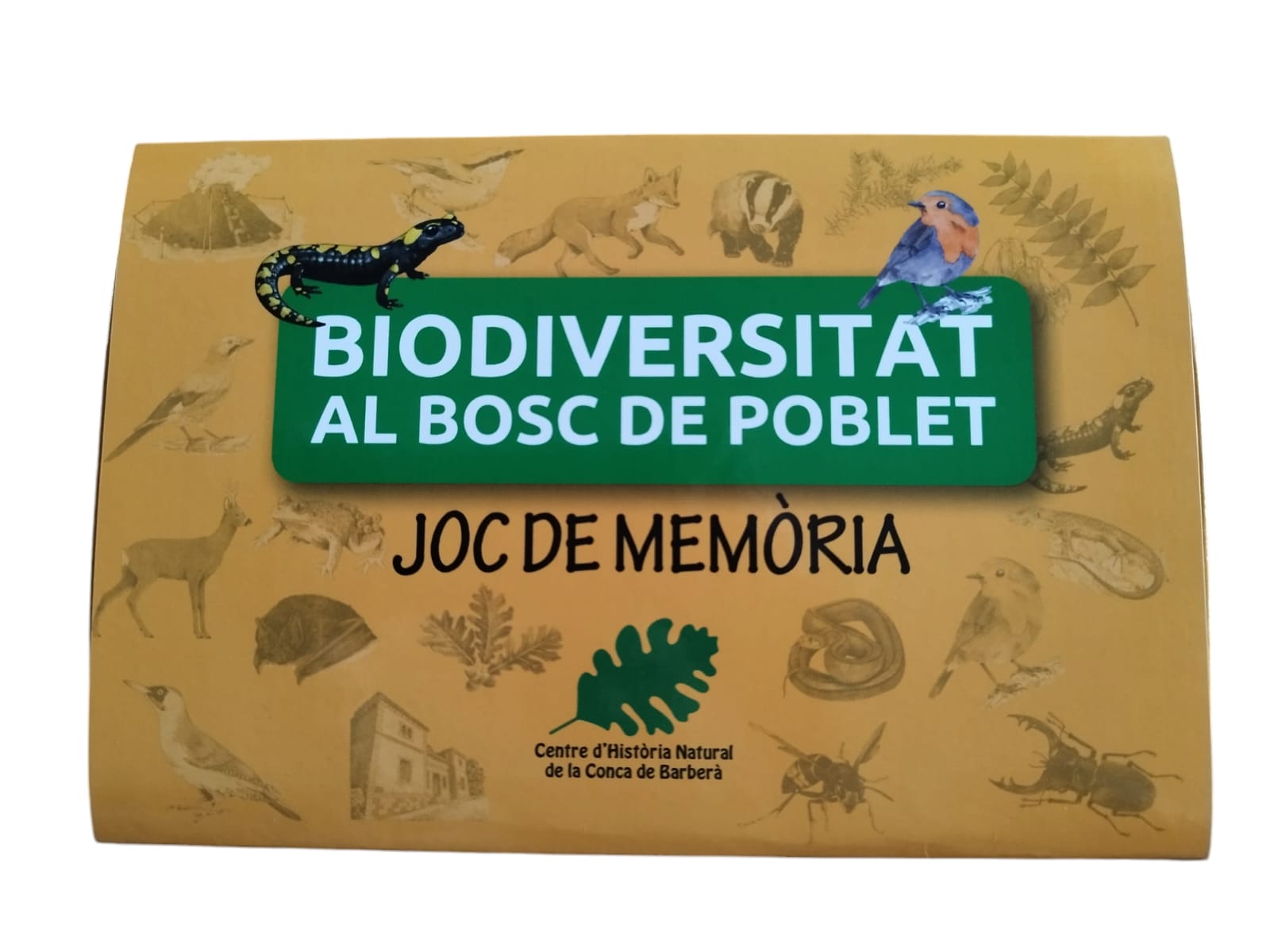 JOC DE MEMÒRIA BIODIVERSITAT AL BOSC DE POBLET 1
