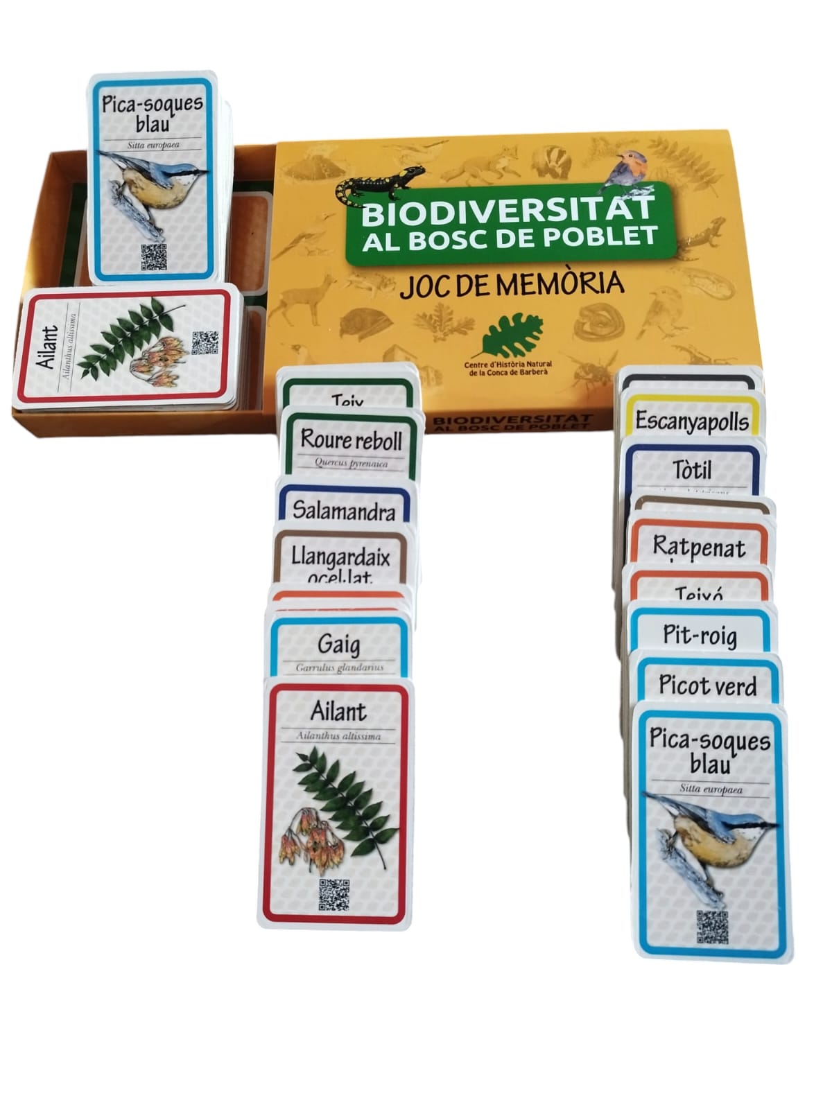 JOC DE MEMÒRIA BIODIVERSITAT AL BOSC DE POBLET 4