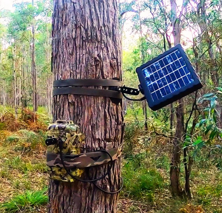 TITLEY PANEL SOLAR CON BATERÍA PARA ALIMENTAR GRABADORAS RANGER Y SWIFT 2