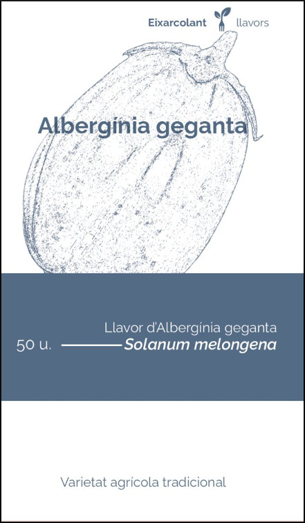 COL·LECTIU EIXARCOLANT. ALBERGINIA GEGANTA (SOLANUM MELONGENA). LLAVORS DE VARIETATS AGRÍCOLES TRADICIONALS 1