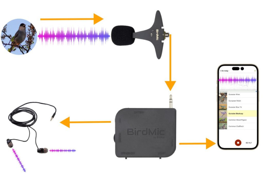 BIRDMIC PACK MICRÒFON PER A FAMÍLIES 2