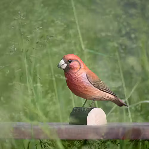 DECOBIRD FIGURA DE PIQUITUERTO 2
