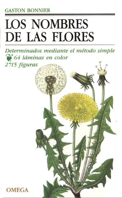 LOS NOMBRES DE LAS FLORES 1