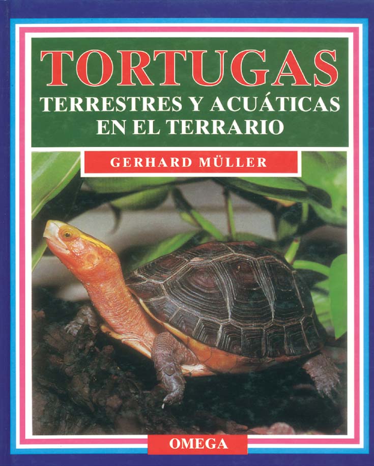 TORTUGAS TERRESTRES Y ACUÁTICAS EN EL TERRARIO 1